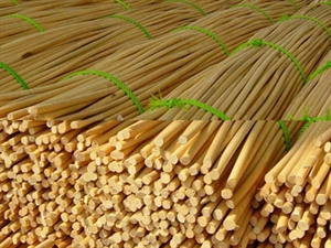 Picture of MAY RATTAN / SAND RATTAN / POWDER RATTAN