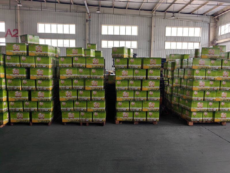 上海到神池物流公司