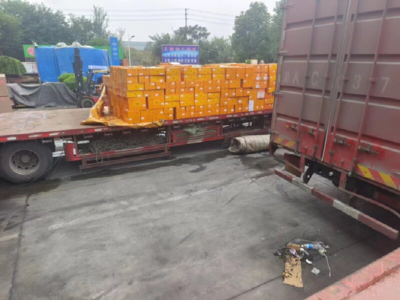 眉山到嵐皋貨運(yùn)公司